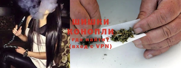 стафф Каменка