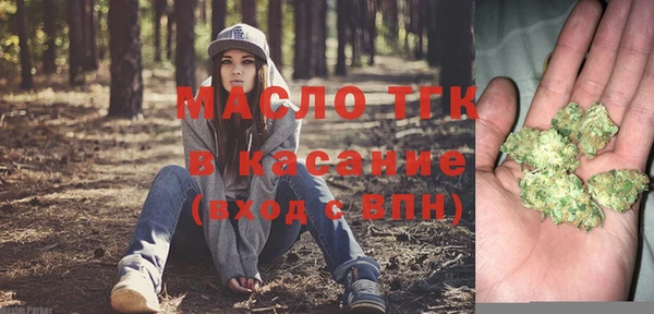 стафф Каменка