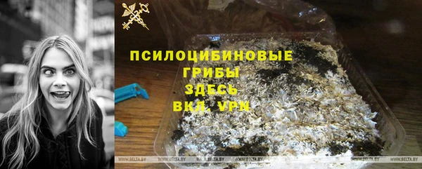 стафф Каменка