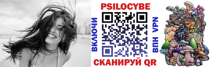 Псилоцибиновые грибы Psilocybine cubensis  Устюжна 