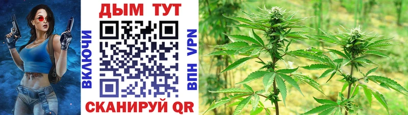 Бошки Шишки Bruce Banner  магазин    Устюжна 